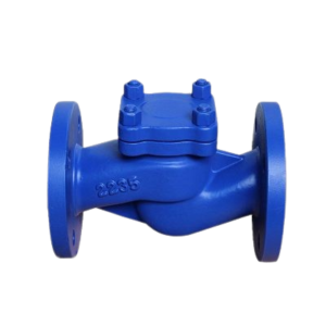 Piston Type Lift Check Valve