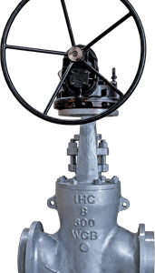 Globe Valve — Pressure Seal Bonnet